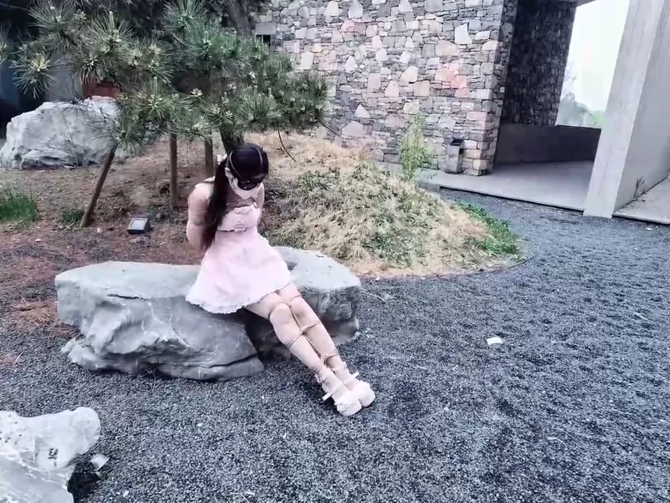 [饲育日记] 小狗の饲育日记粉嫩出场偶然发现超美建筑群双马尾小狗快乐亿下 预览 4
