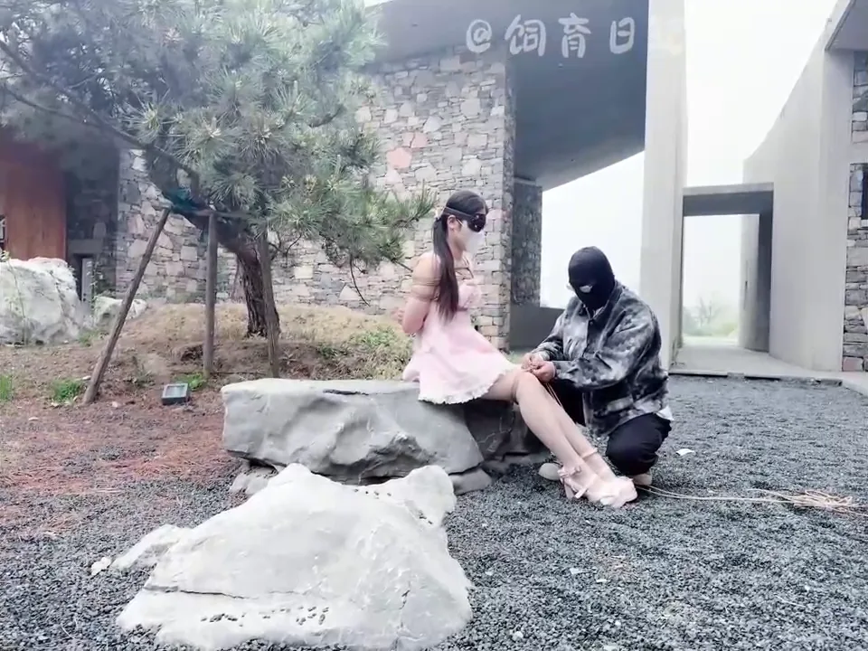 [饲育日记] 小狗の饲育日记粉嫩出场偶然发现超美建筑群双马尾小狗快乐亿下 预览 5