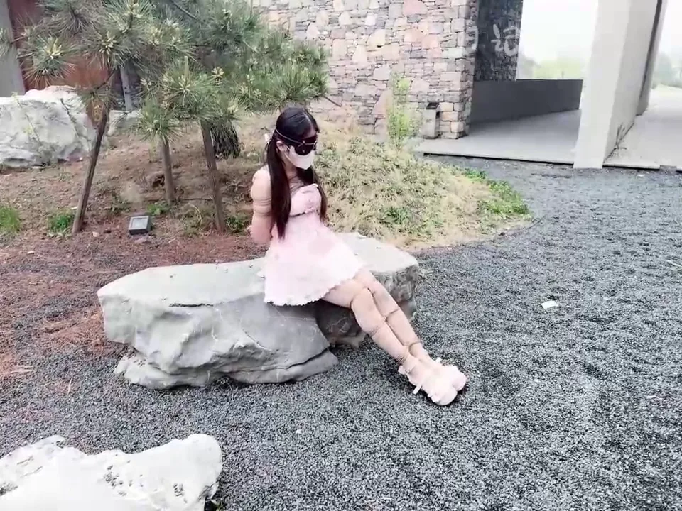 [饲育日记] 小狗の饲育日记粉嫩出场偶然发现超美建筑群双马尾小狗快乐亿下